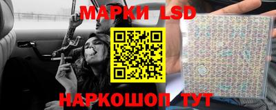 гидра Будённовск