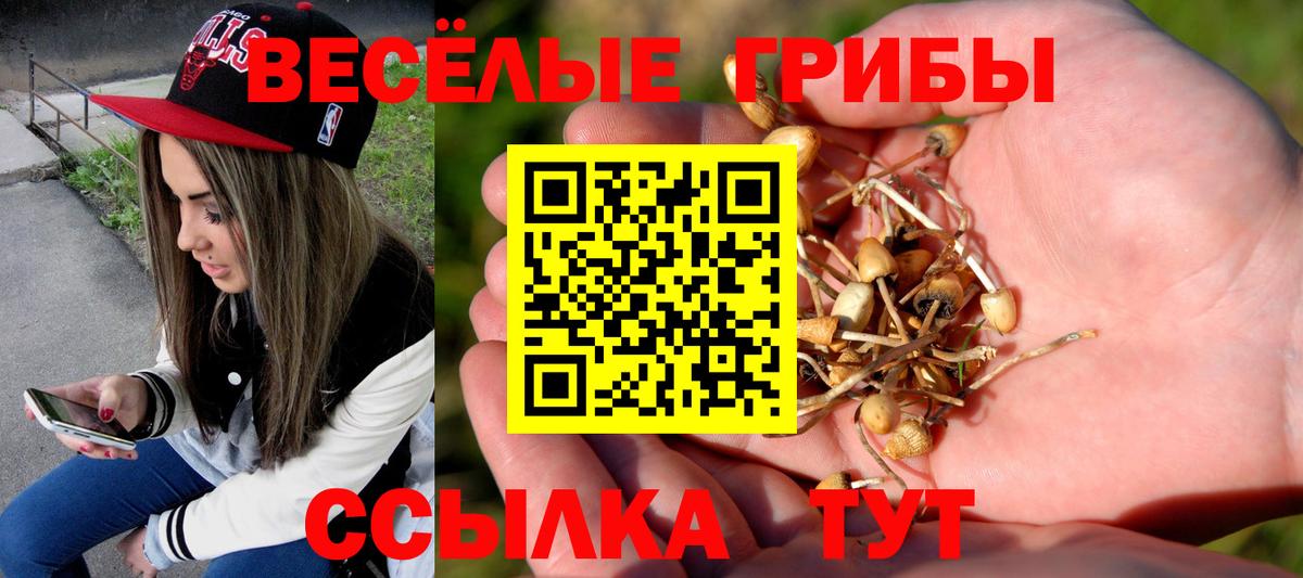 Стрежевой  Галлюциногенные грибы Psilocybe  Вход с VPN 